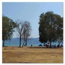 beach