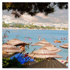 beach